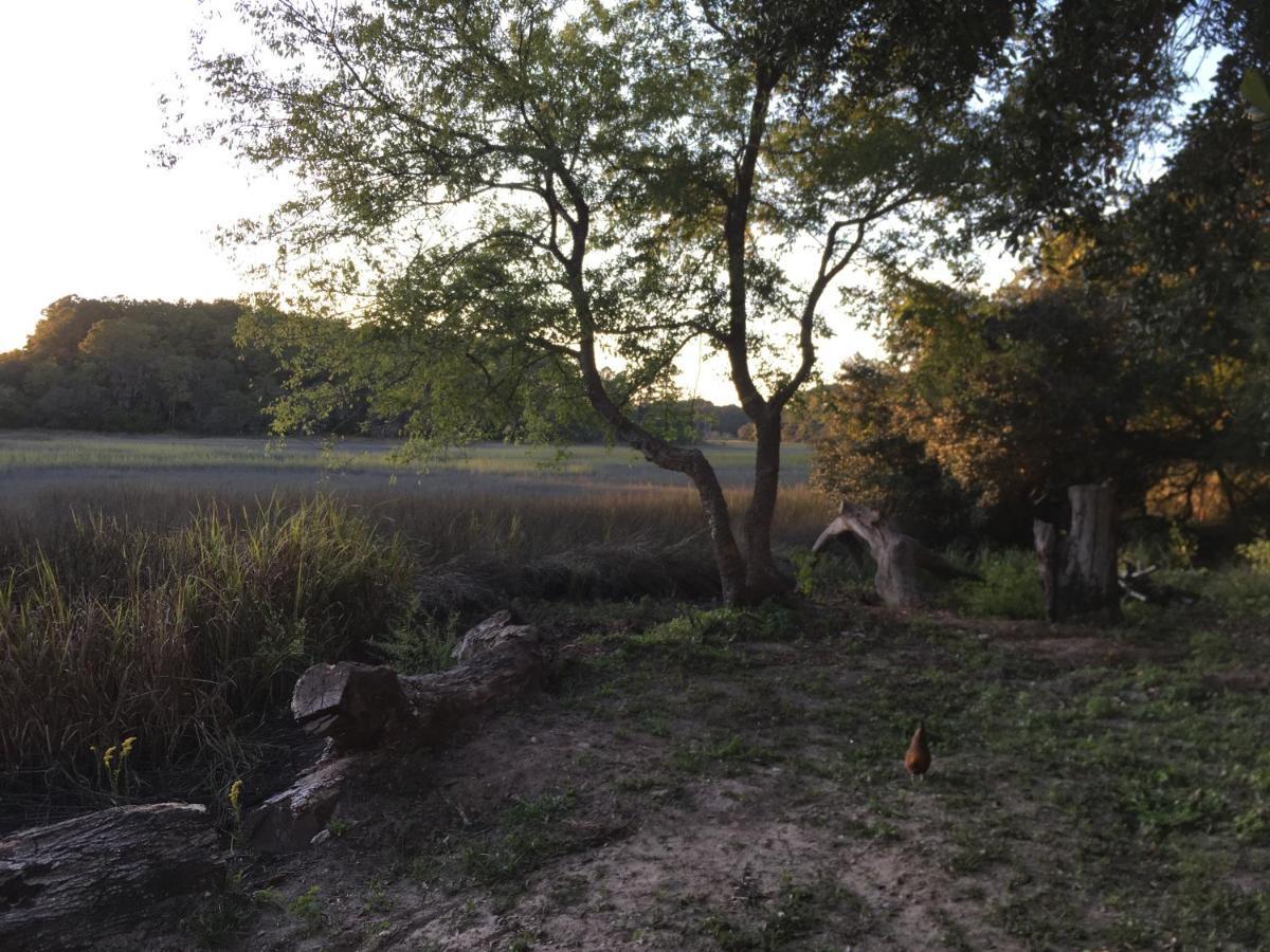 Beaufort Sc New Renovation, Close To Parris Island, Historic Downtown, Beautiful Beaches, Sleeps 8 Екстер'єр фото